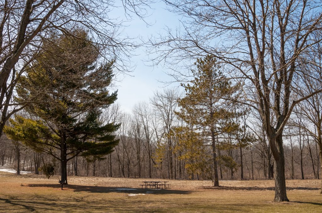Minooka Park early Spring View
