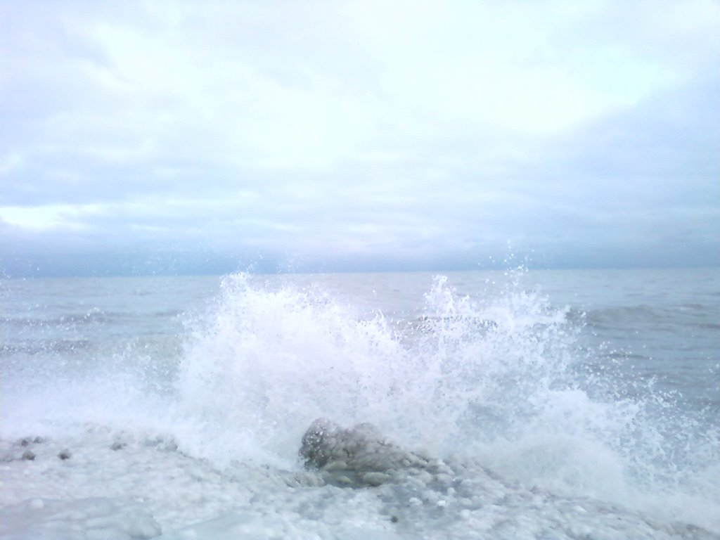 Waves