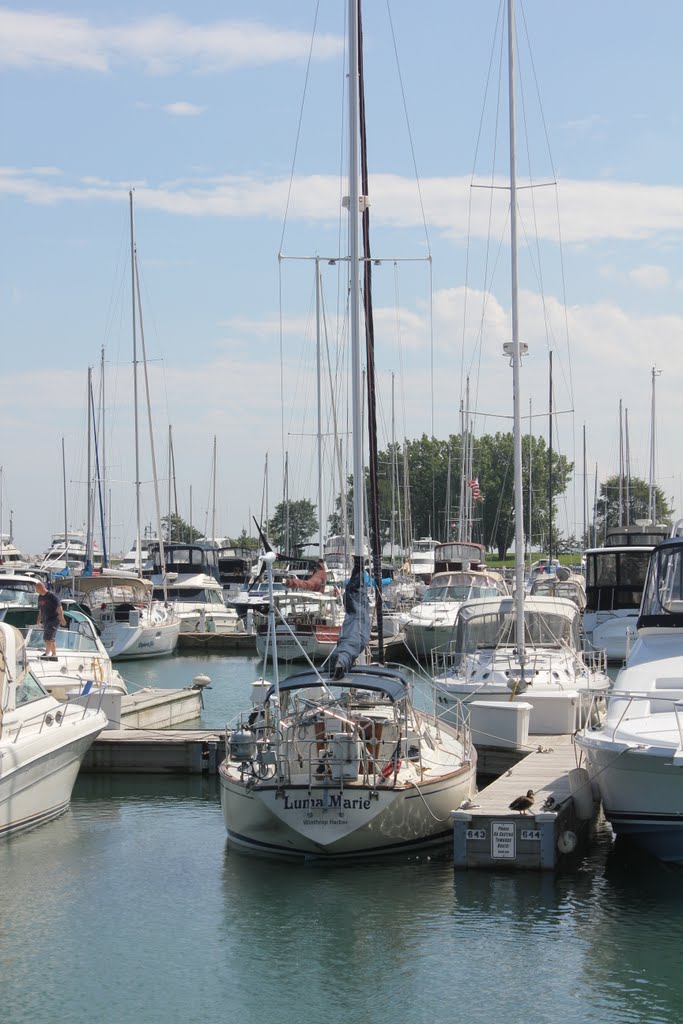 Marina