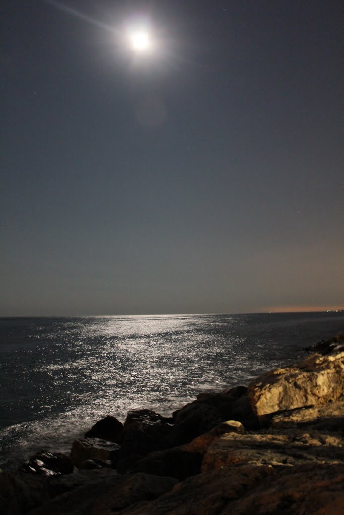 Moonlight Over Lake Michigan