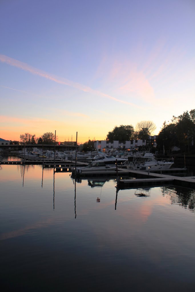 Marina Sunset