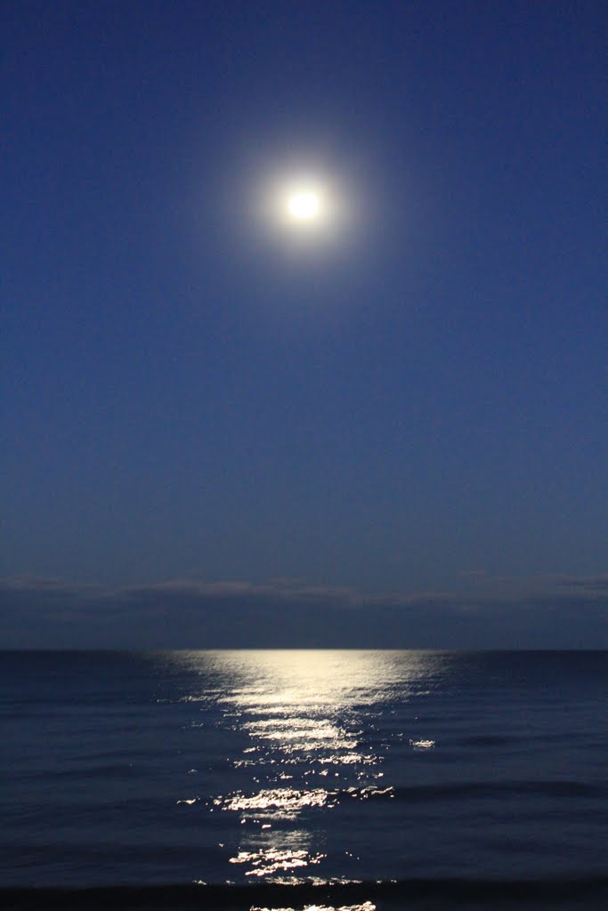 Moon