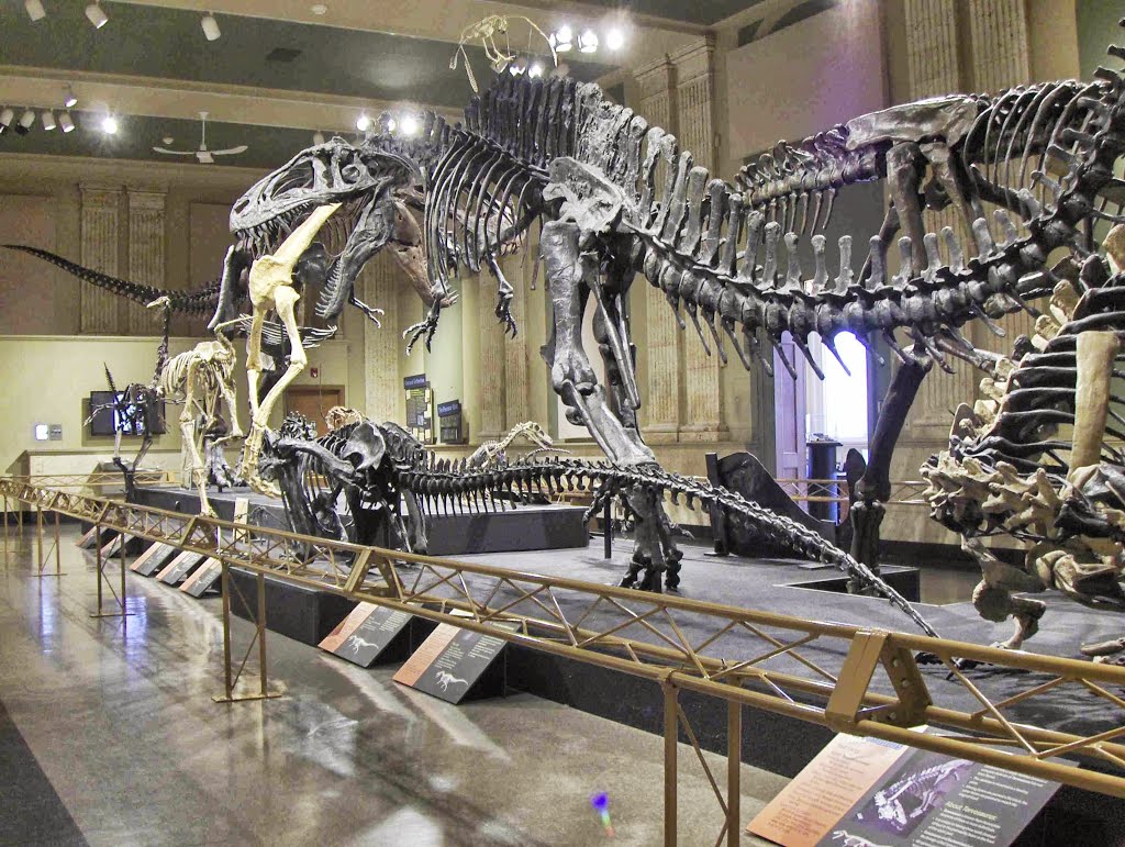 Dinosaur Discovery Museum, GLCT