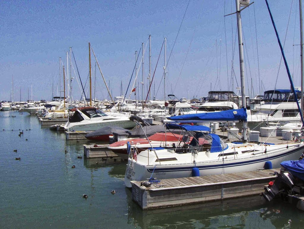 Southport Marina, GLCT
