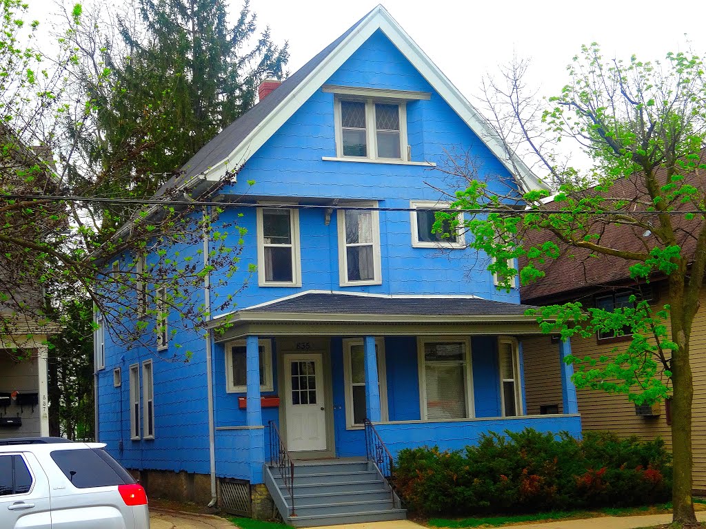 Light Blue Color Home