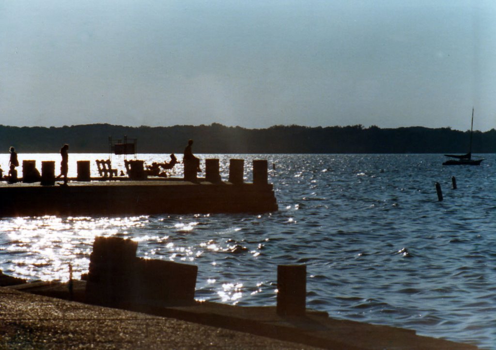 Union Pier, Madison WI