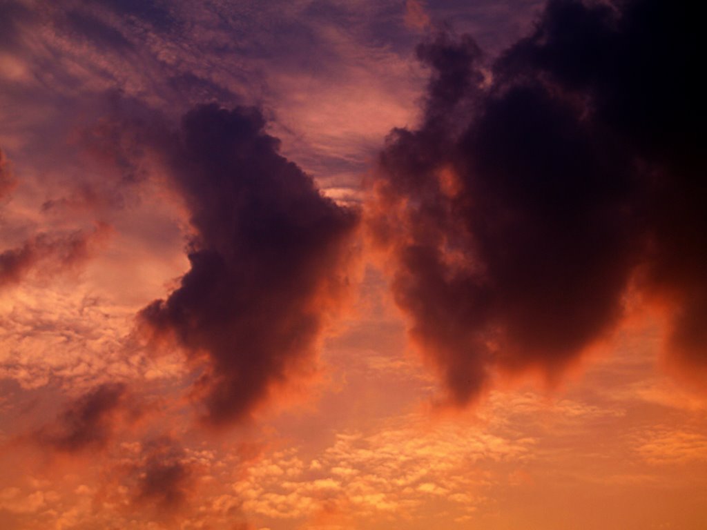 Morning Clouds