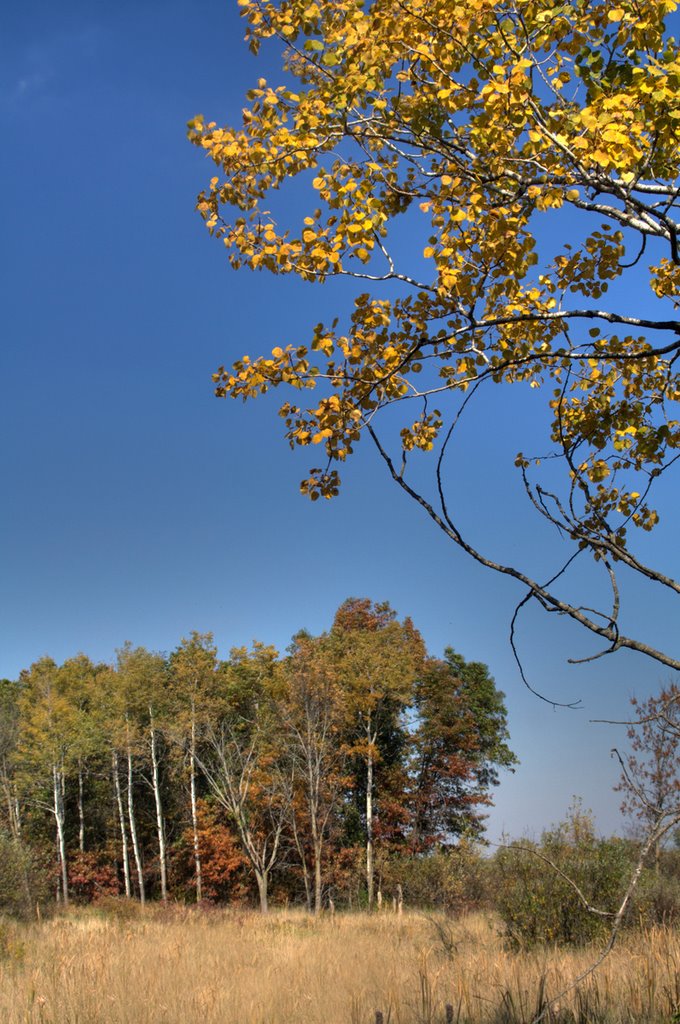 Fall Colors along the Sugar River Bike Trail