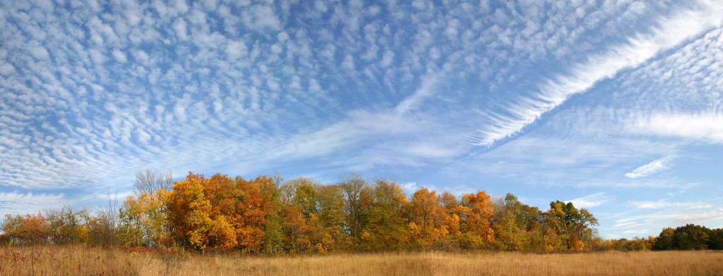 Muralt Prairie, Green County, WI   Fall, November 2005