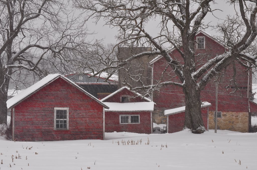 snowy day