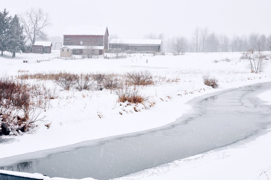 farm and snow