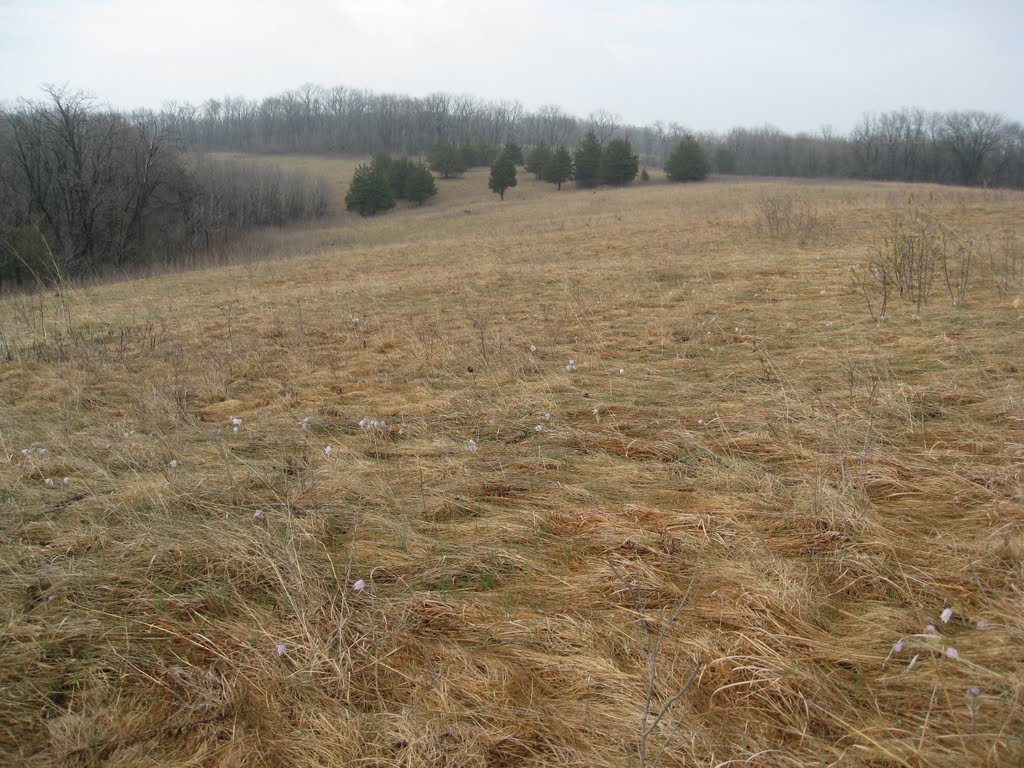 Muralt Bluff Prairie State Natural Area
