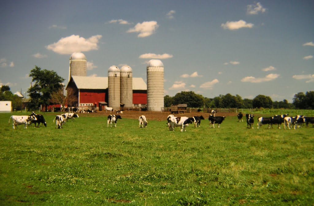 dairy farm, near Albany, Wisconsin, july 1974