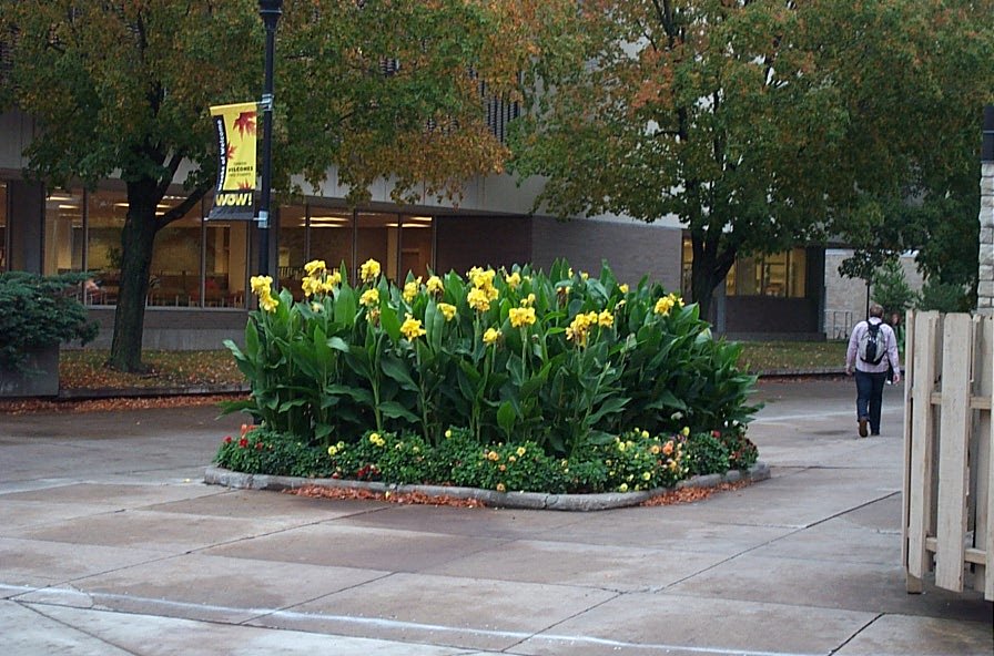 UW-Oshkosh Mall