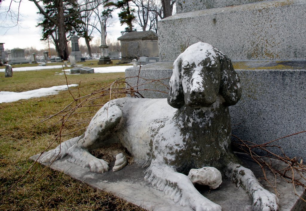 Irish Setter, Riverside Cemetery, Oshkosh WI