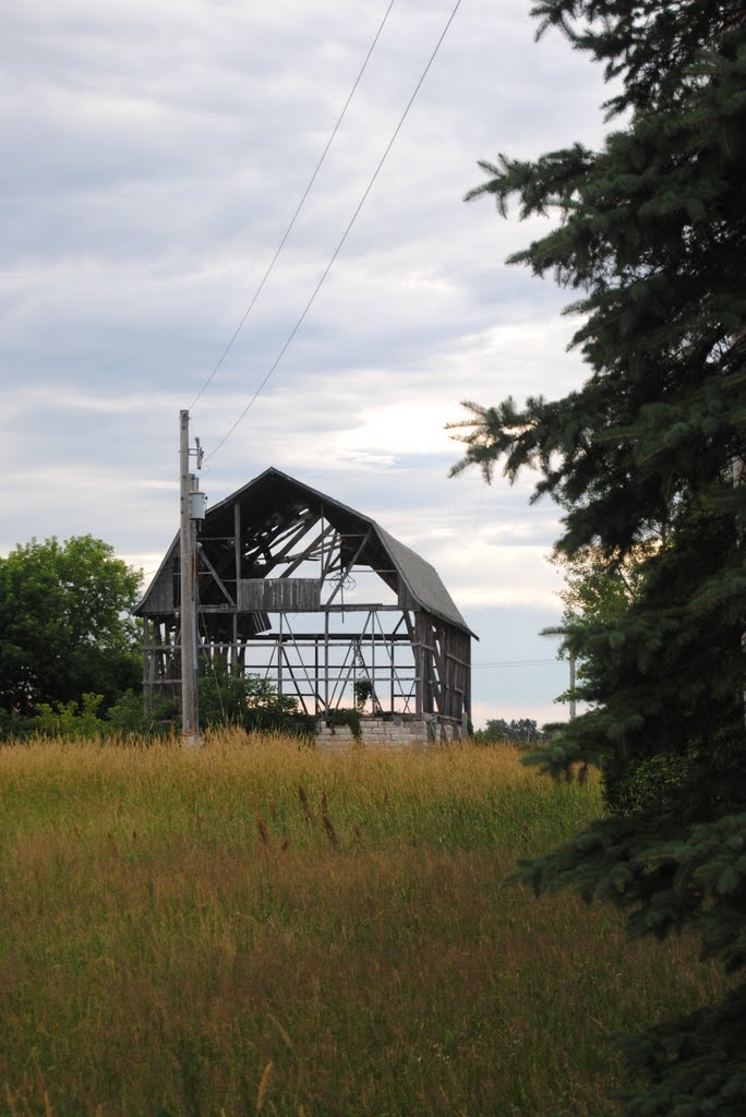 Barn Skeleton