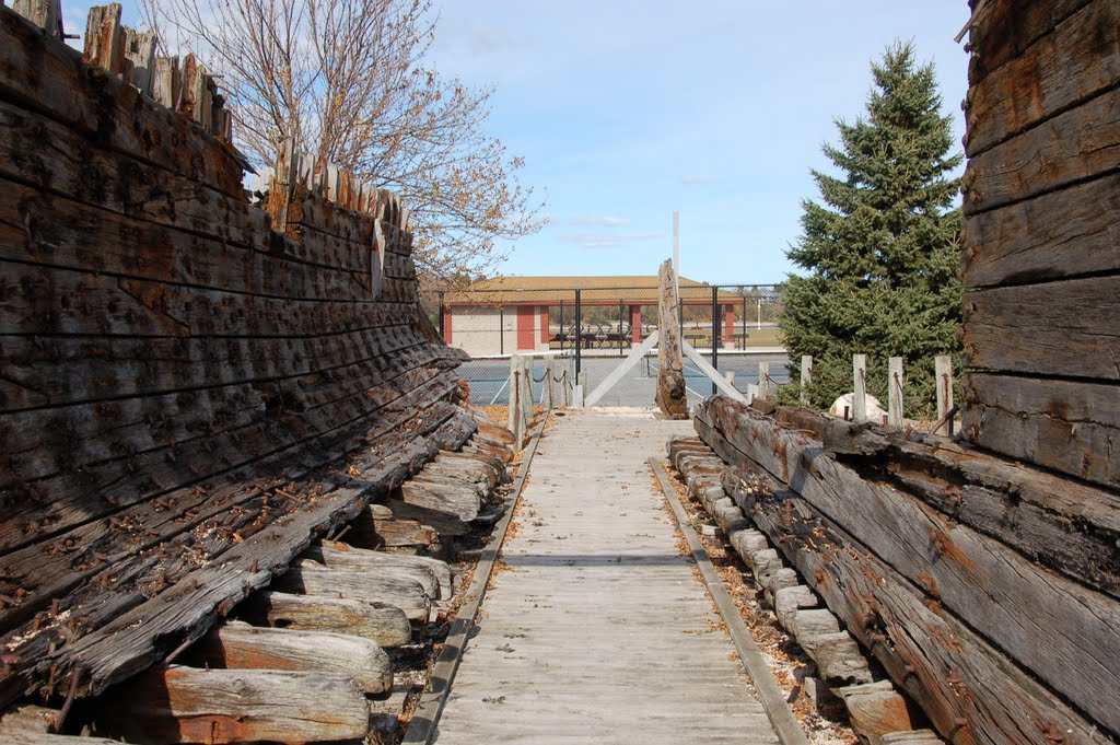 Recovered 1894 Shipwreck