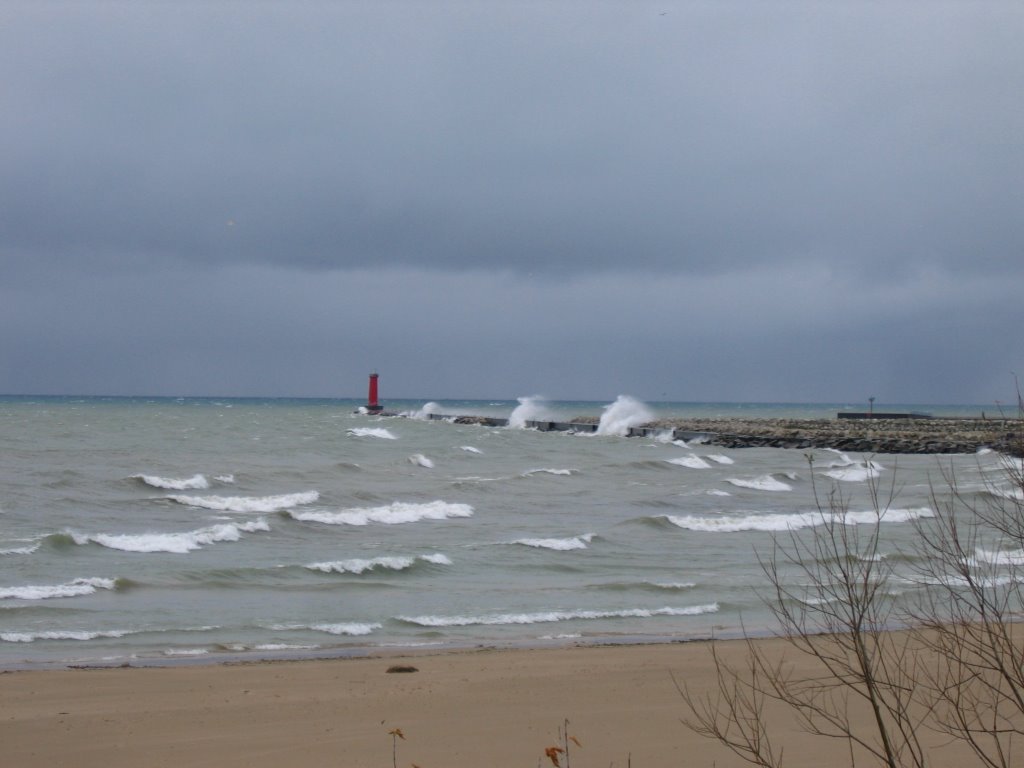 Fierce Seas