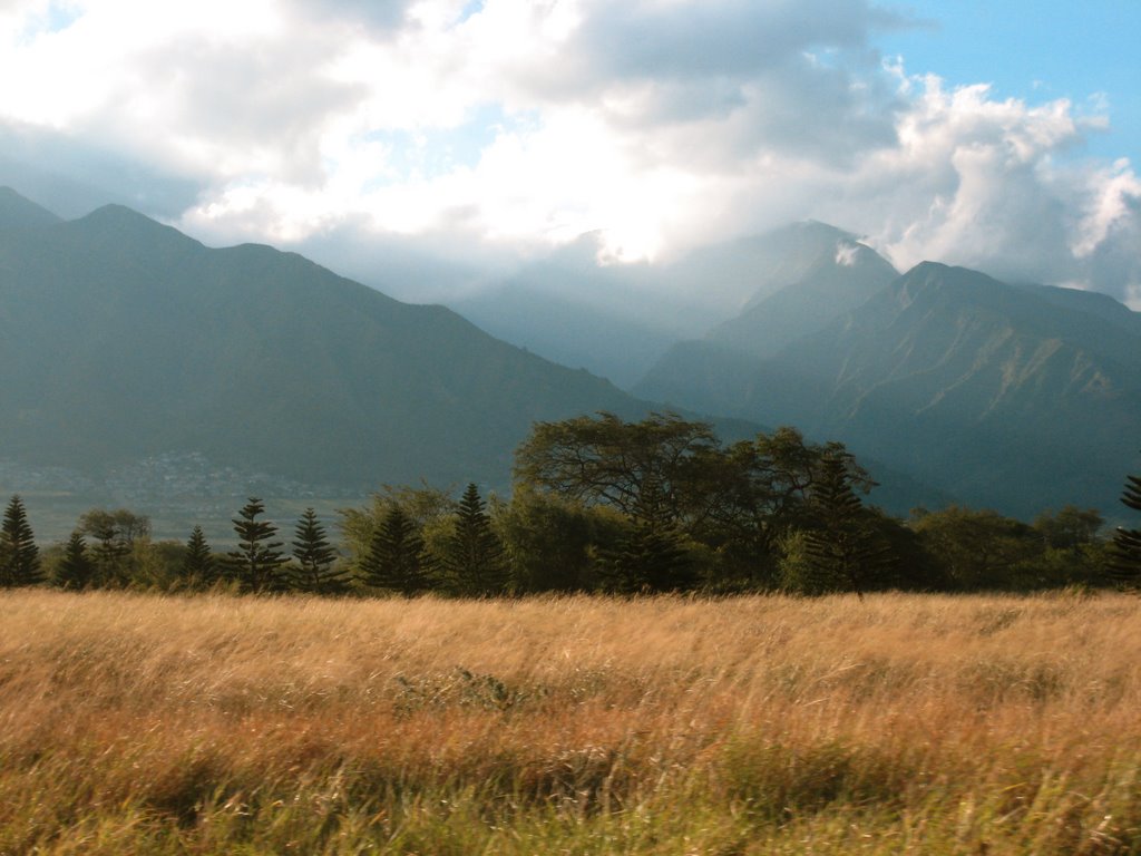 Kuihelani Hwy View