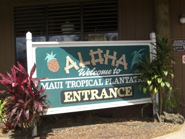 MAUI TOROPICAL PLANTATION