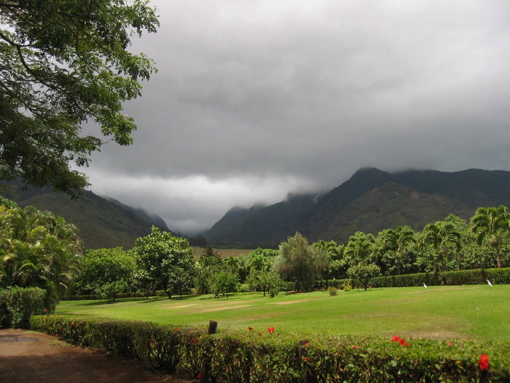 Looking towards Iao Valley From Maui Tropical Plantation