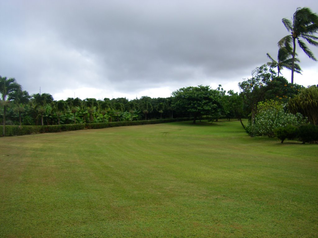 Maui Pinapple Plantation