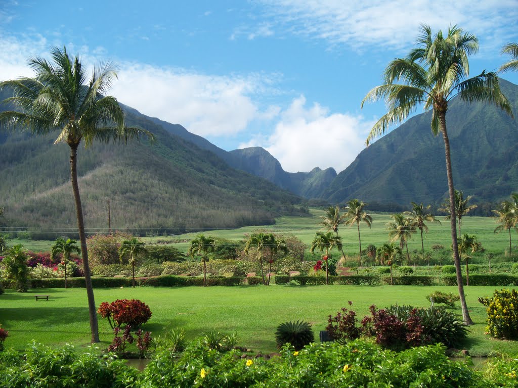 Maui Tropical Plantation