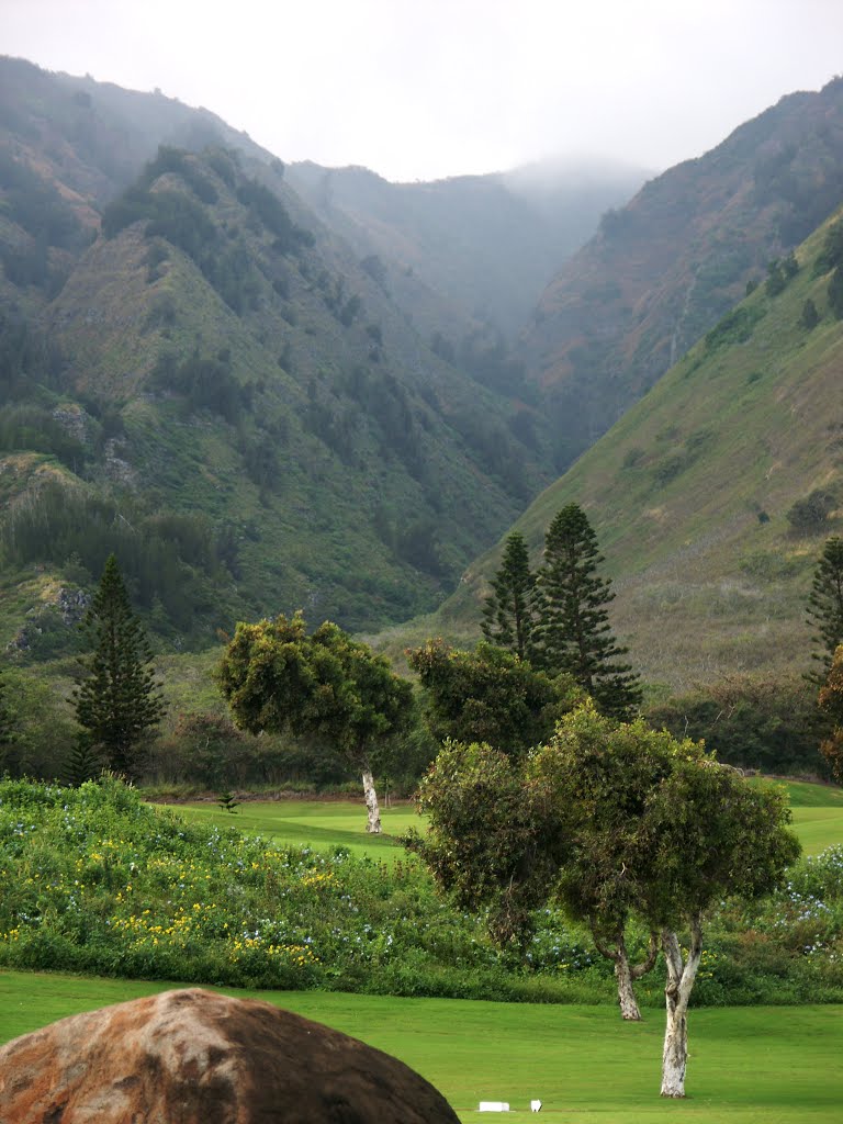 Waikapu Maui