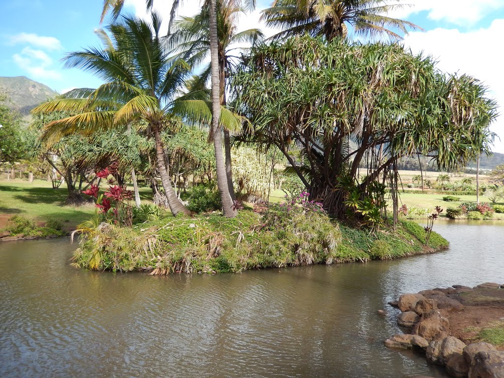 Tropical Plantation