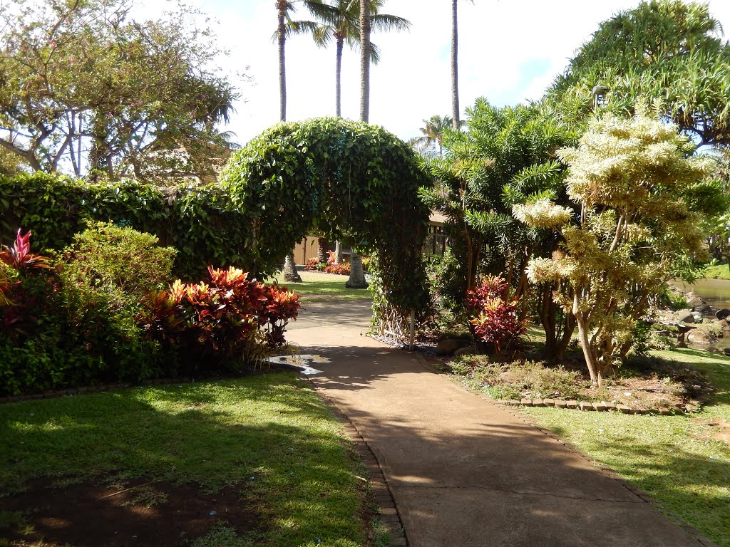 Tropical Plantation