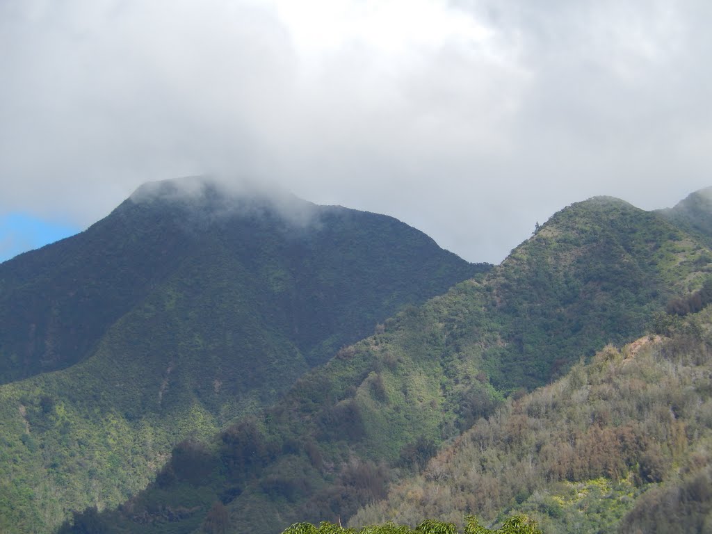 View from Tropical Plantation