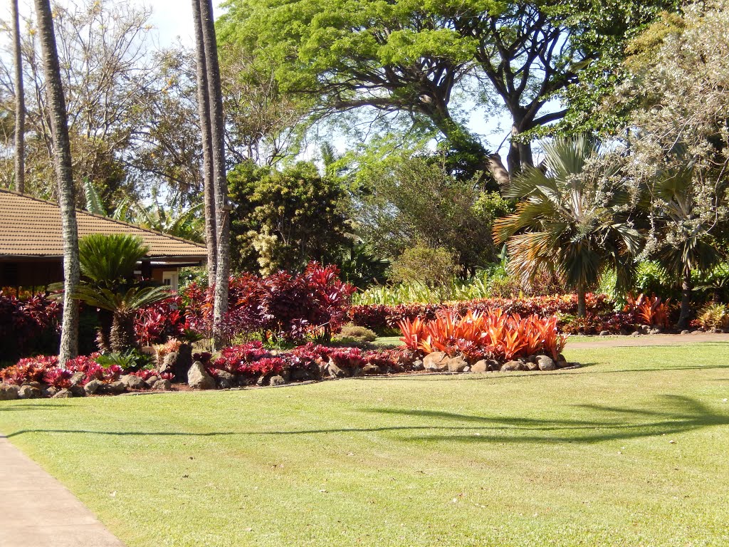 Tropical Plantation