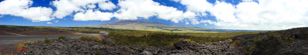 Mauna Kea Panoramic View