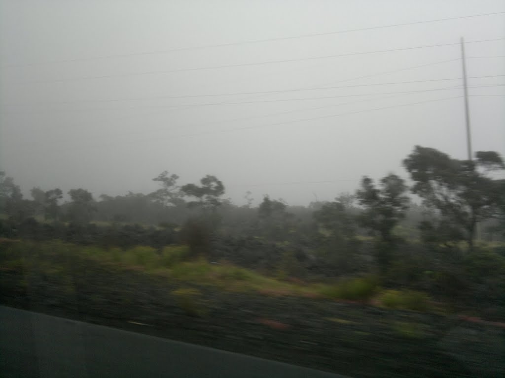 Camino al Mauna Kea
