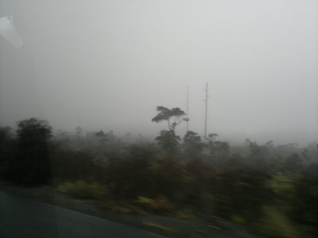 Neblina