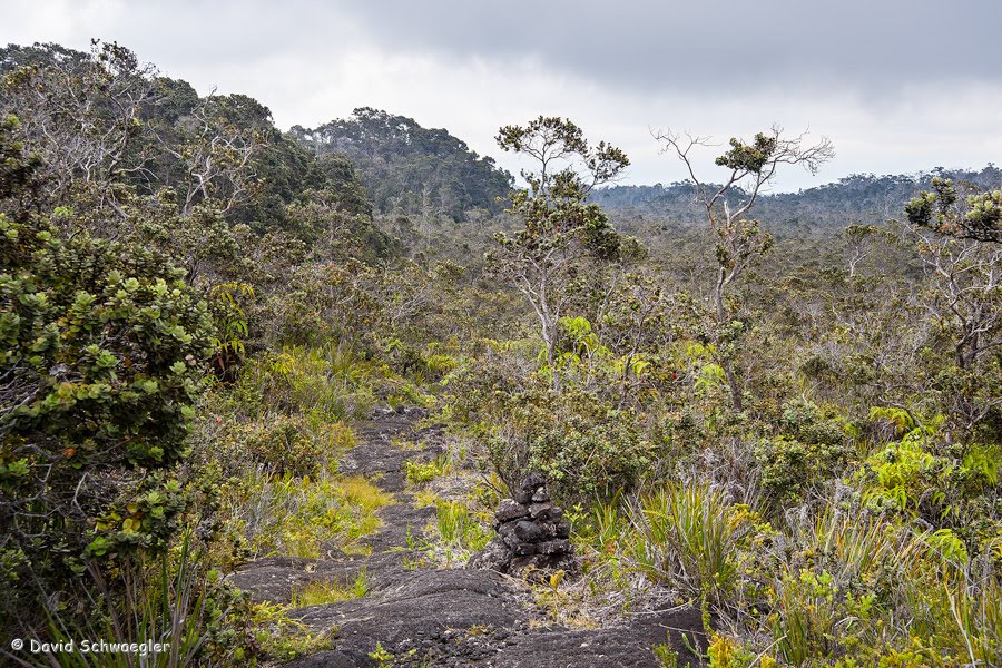 Kaumana Trail