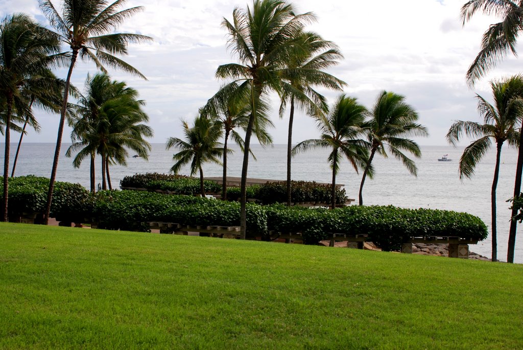 Kakaako water front park