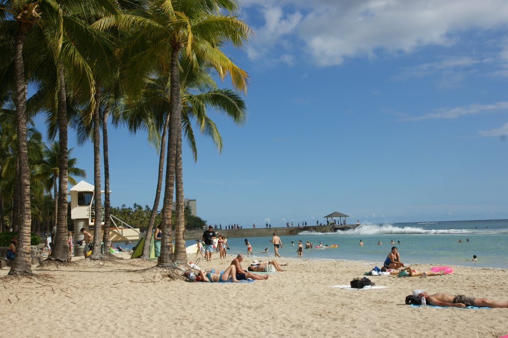 夏威夷海滩 Hawaii Beach