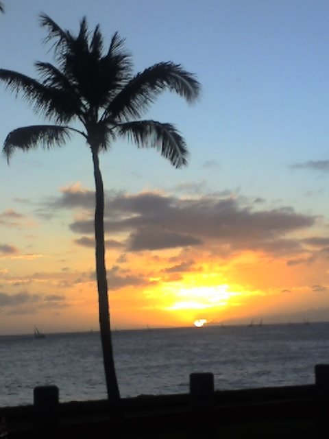 Sunset at Point Panic