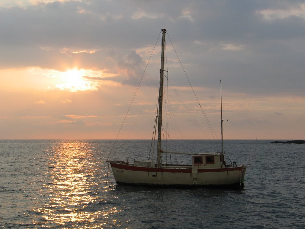 Sailboat in the harbor