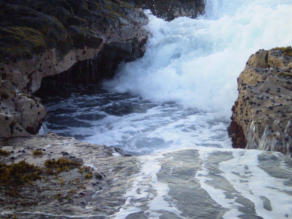 Not The Place To Swim