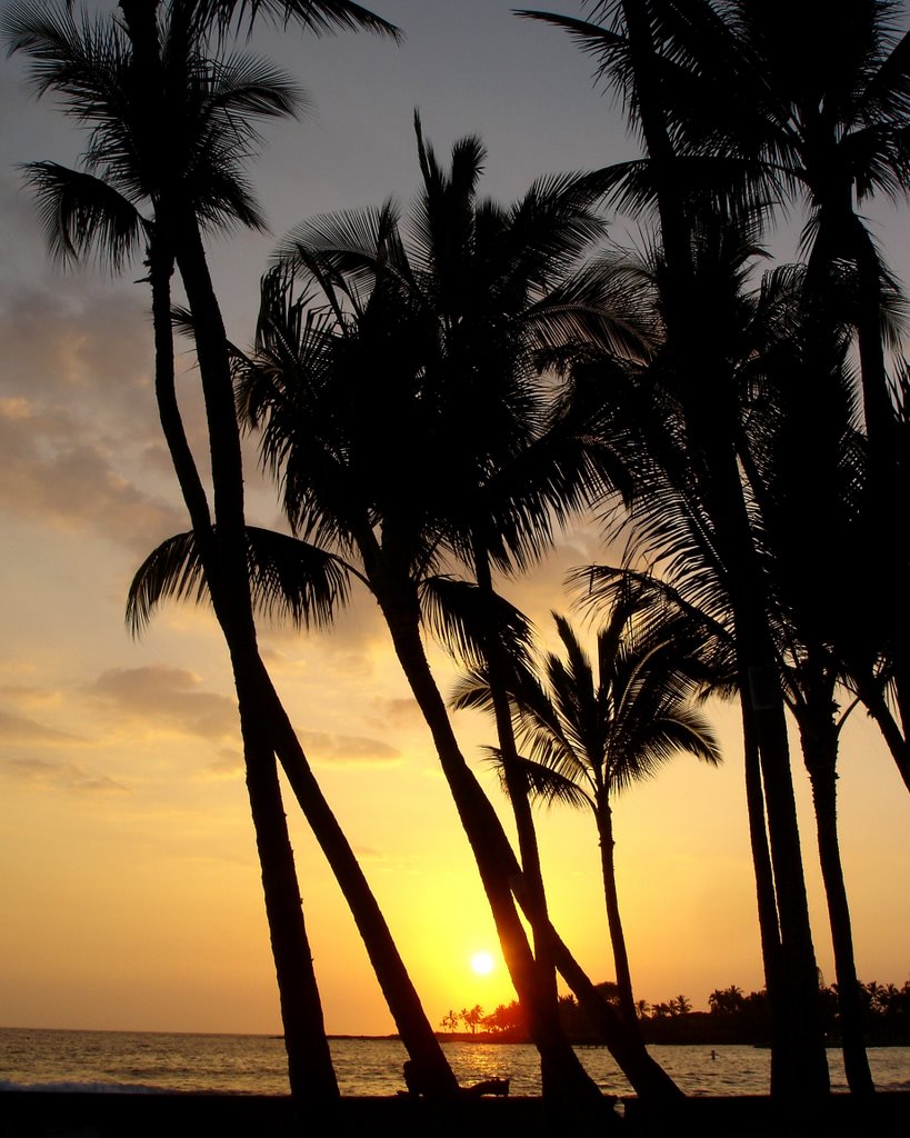 Kona Sunset