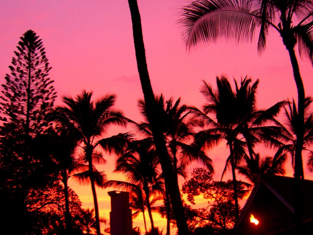 Kona Sunset