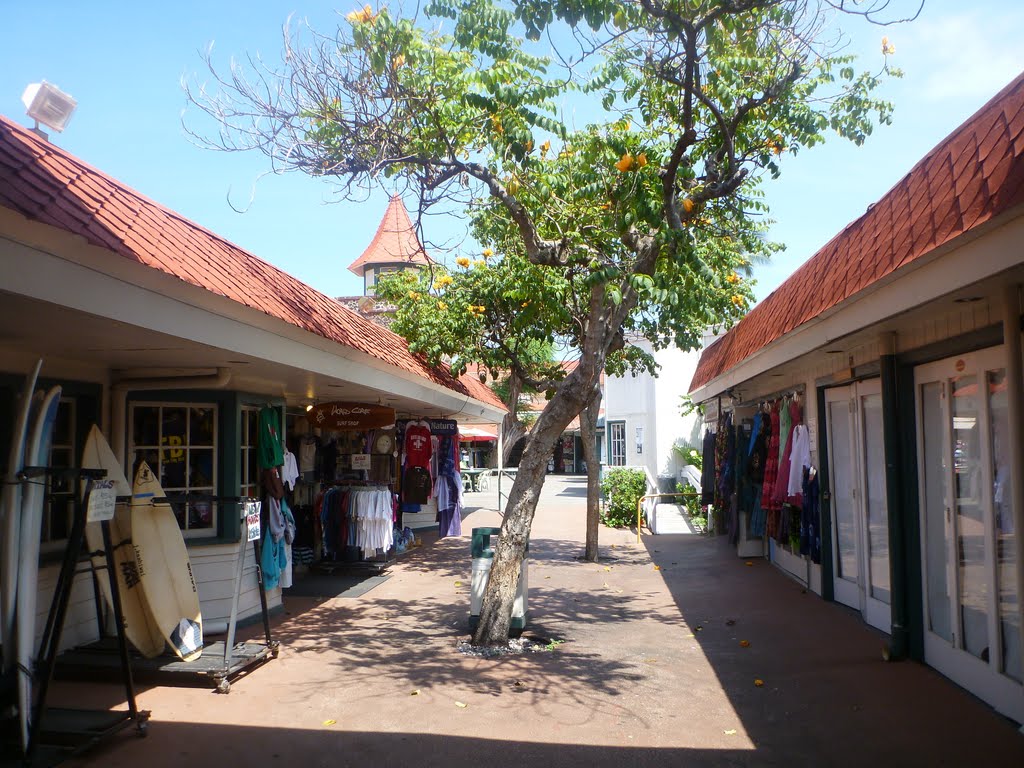 Kona 2011