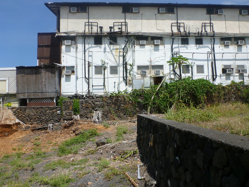 Kona: Kehrseite 2011