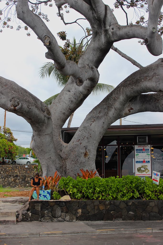 Kona Hawaï