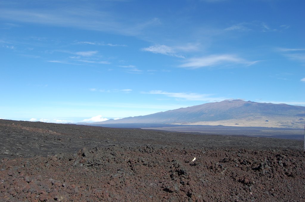 A view of Mauna Kea