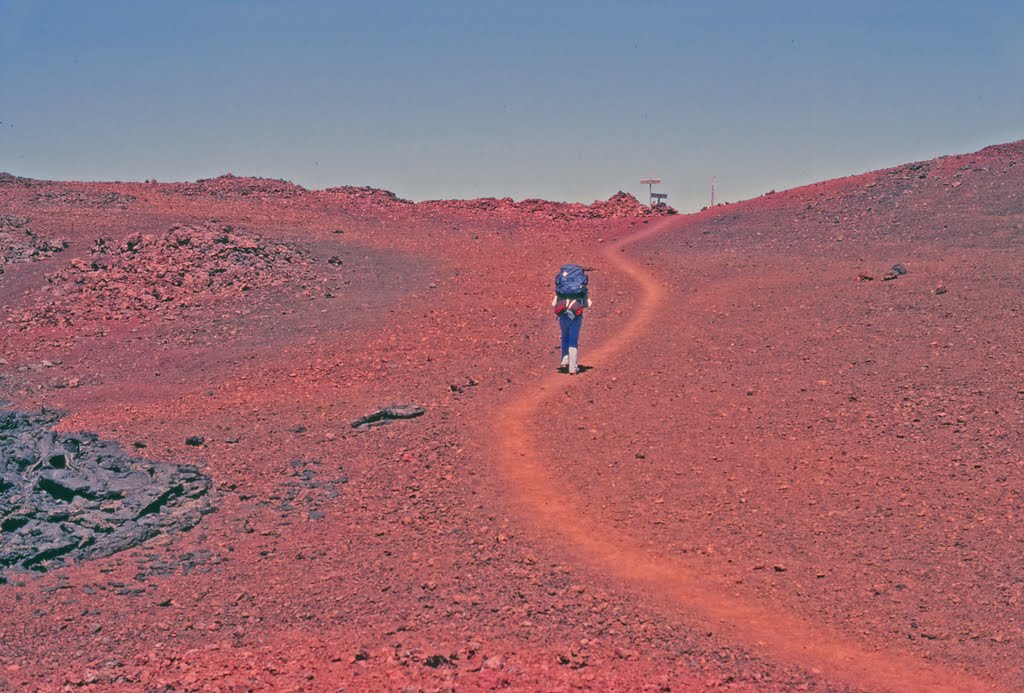 Trail approaching Red Hill Cabin, Hawaii Volcanoes National Park