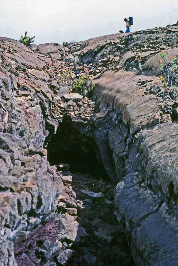 Lava tube along the lower Mauna Loa Trail
