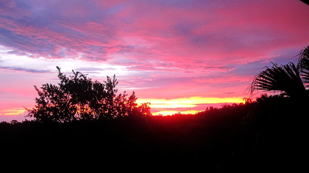 Dawn